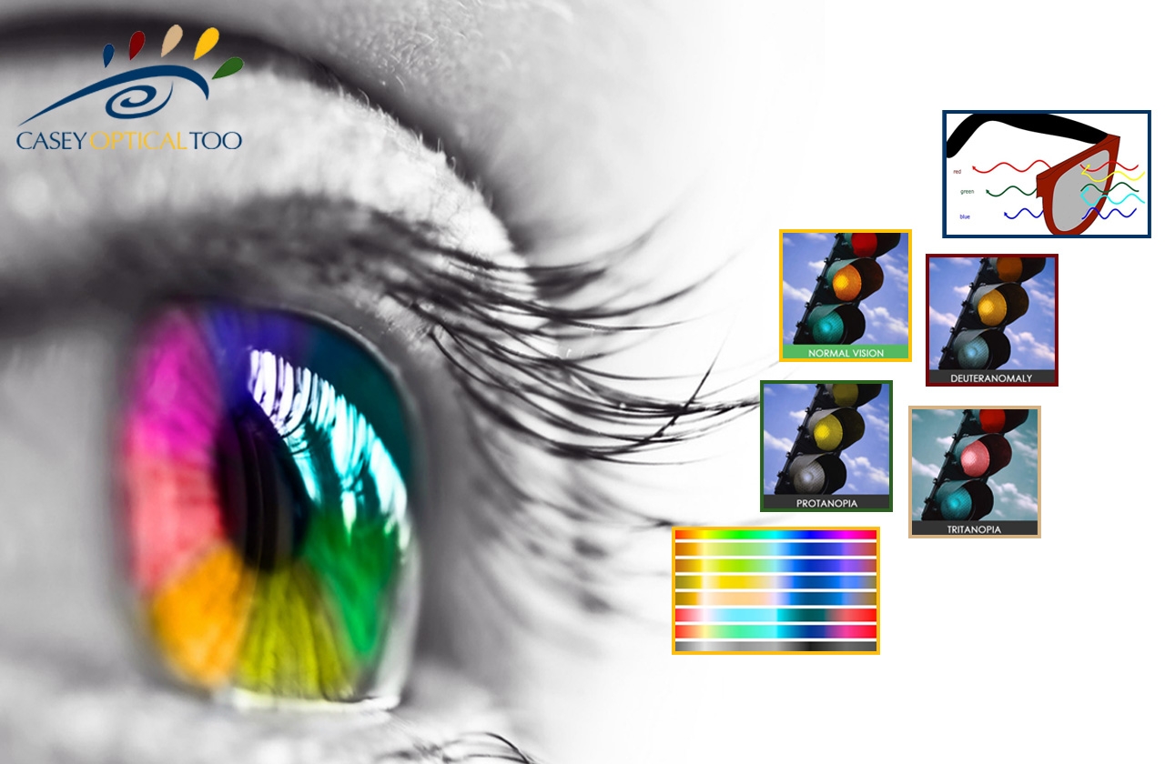 Color Blindness Glasses: Is Correction Possible?